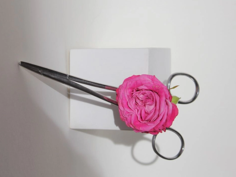 جراحی زیبایی واژن