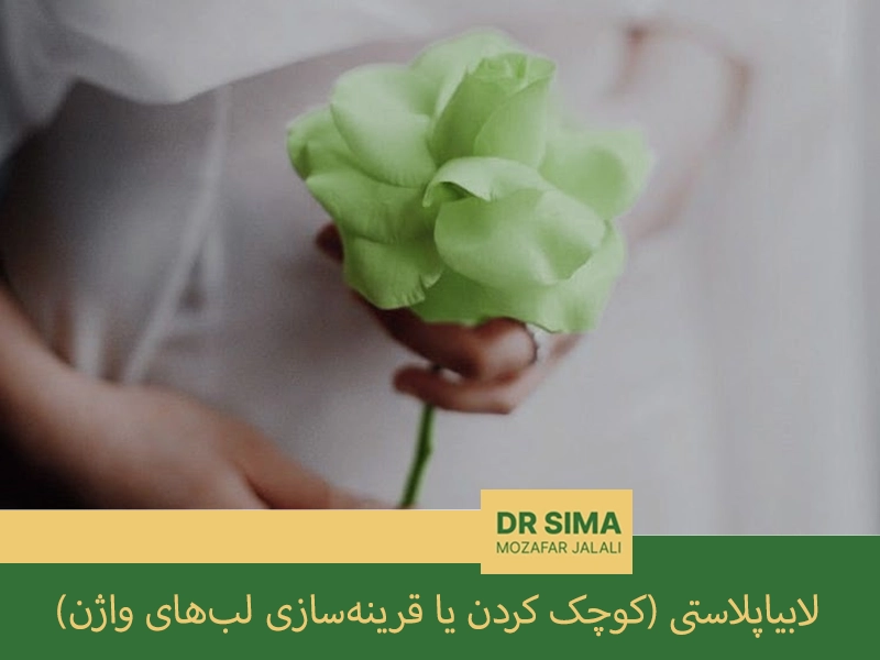 لابیاپلاستی (کوچک کردن یا قرینه‌سازی لب‌های واژن)