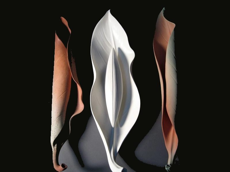 جراحی همزمان لابیاپلاستی و تنگ کردن واژن